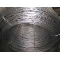 1008 Hot Dipped Galvanized Wire Rod